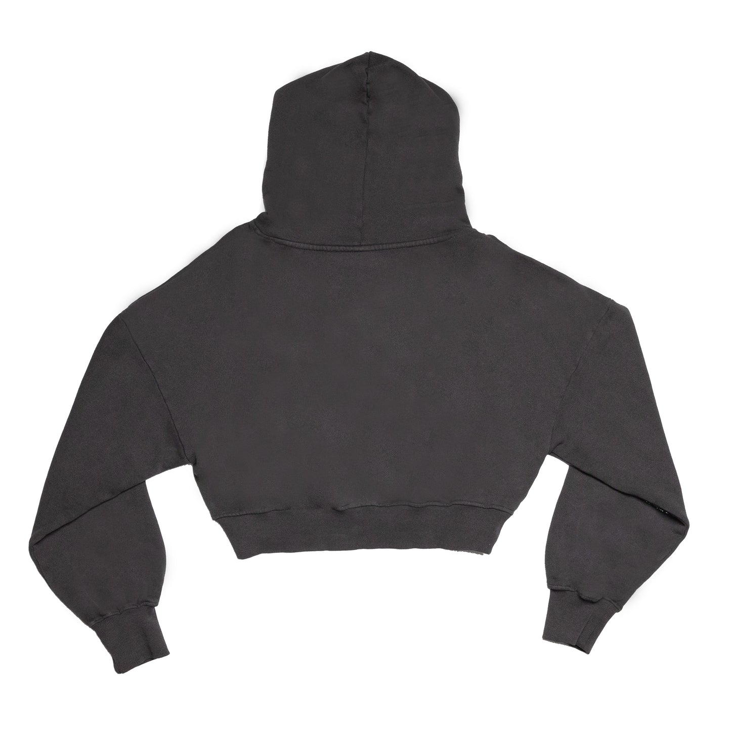 Corporate Logo Crop Hoodie